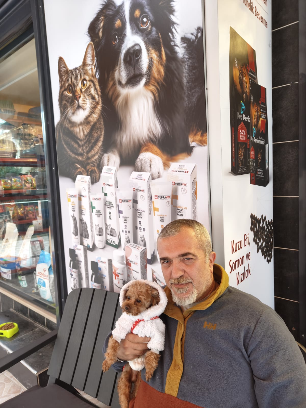 Toy Poodle Giysi ve Aksesuarlar: Seçim ve Kullanım Rehberi